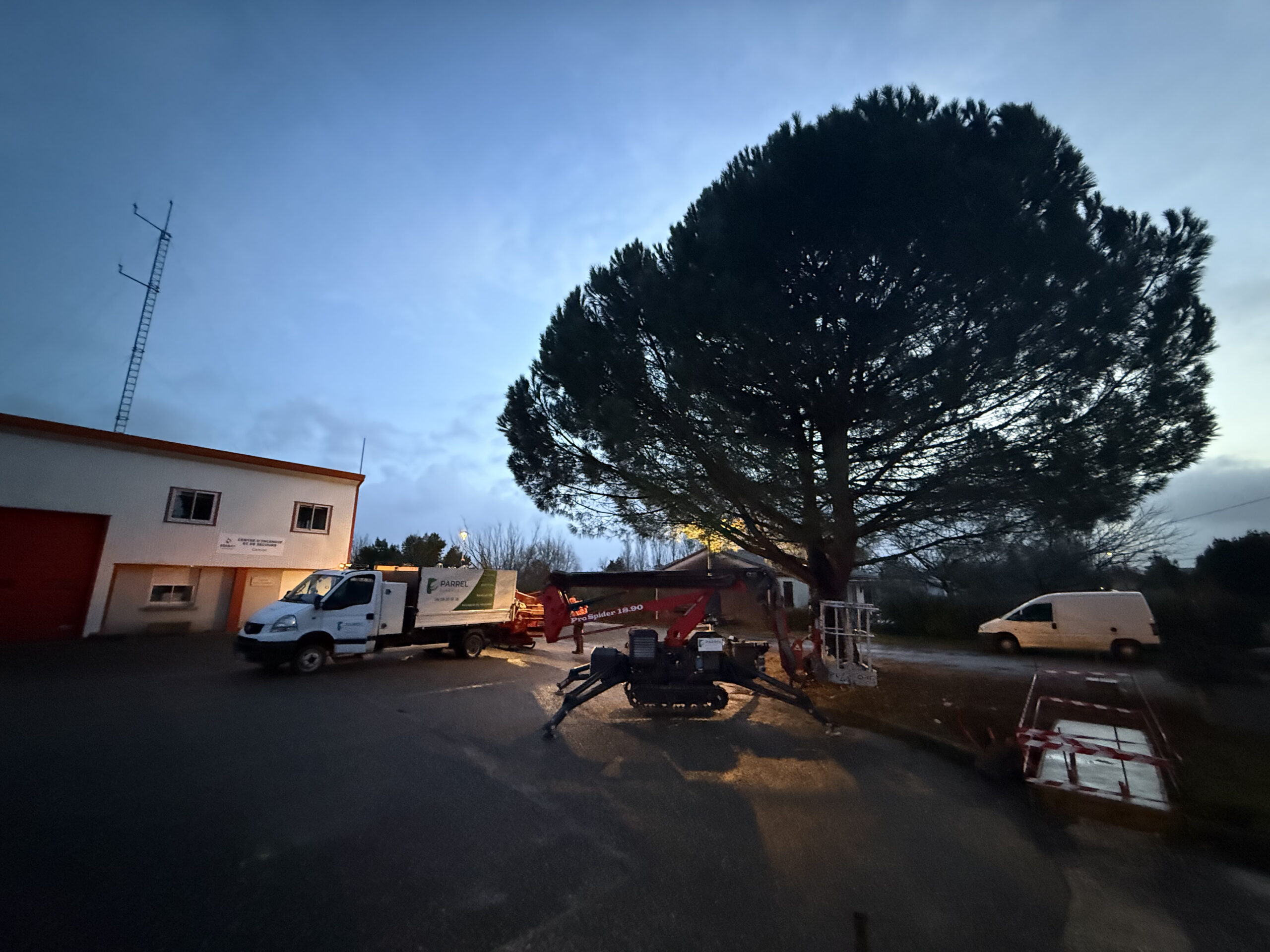 élagage de ses arbres