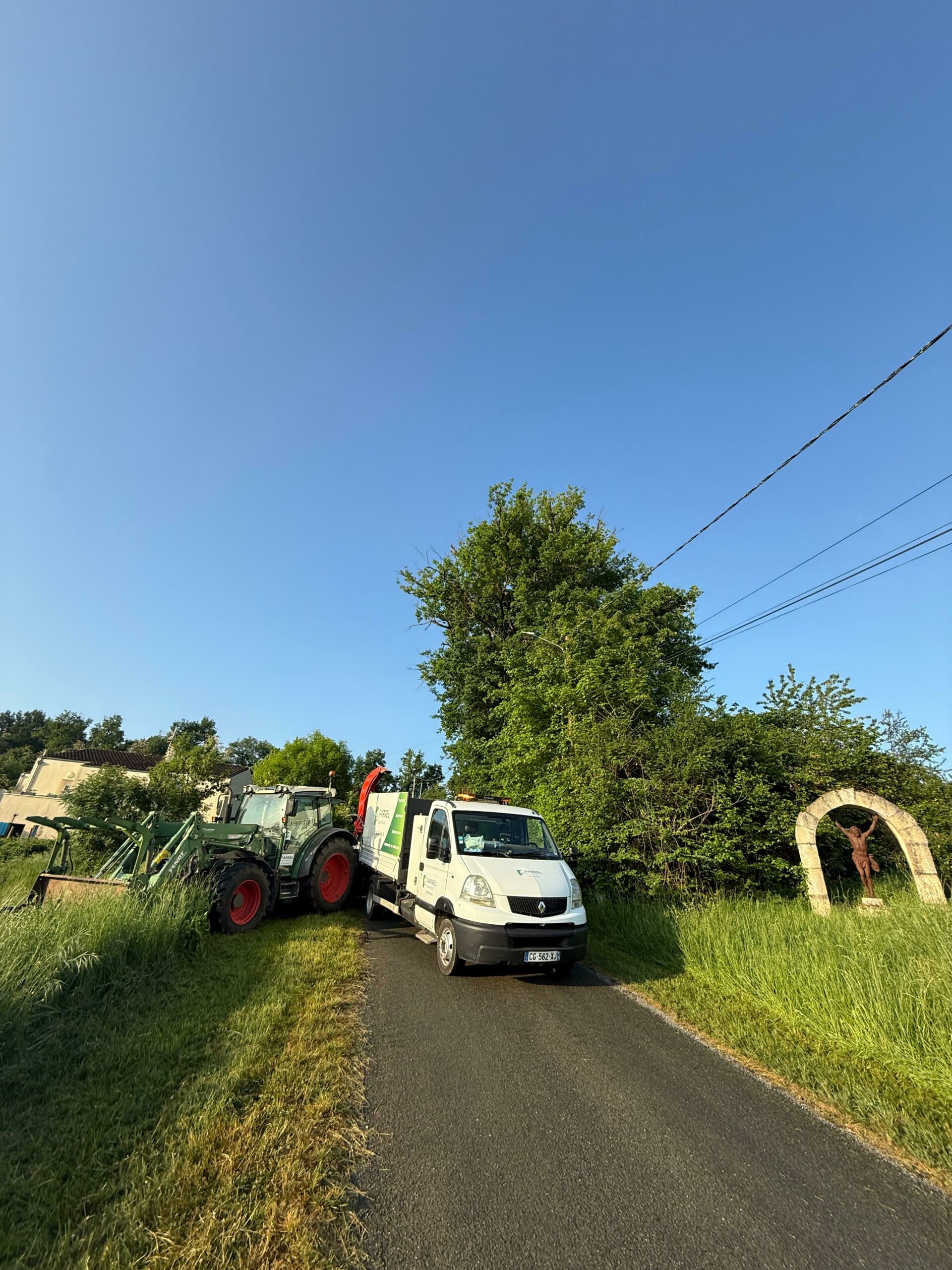 abattre un chêne