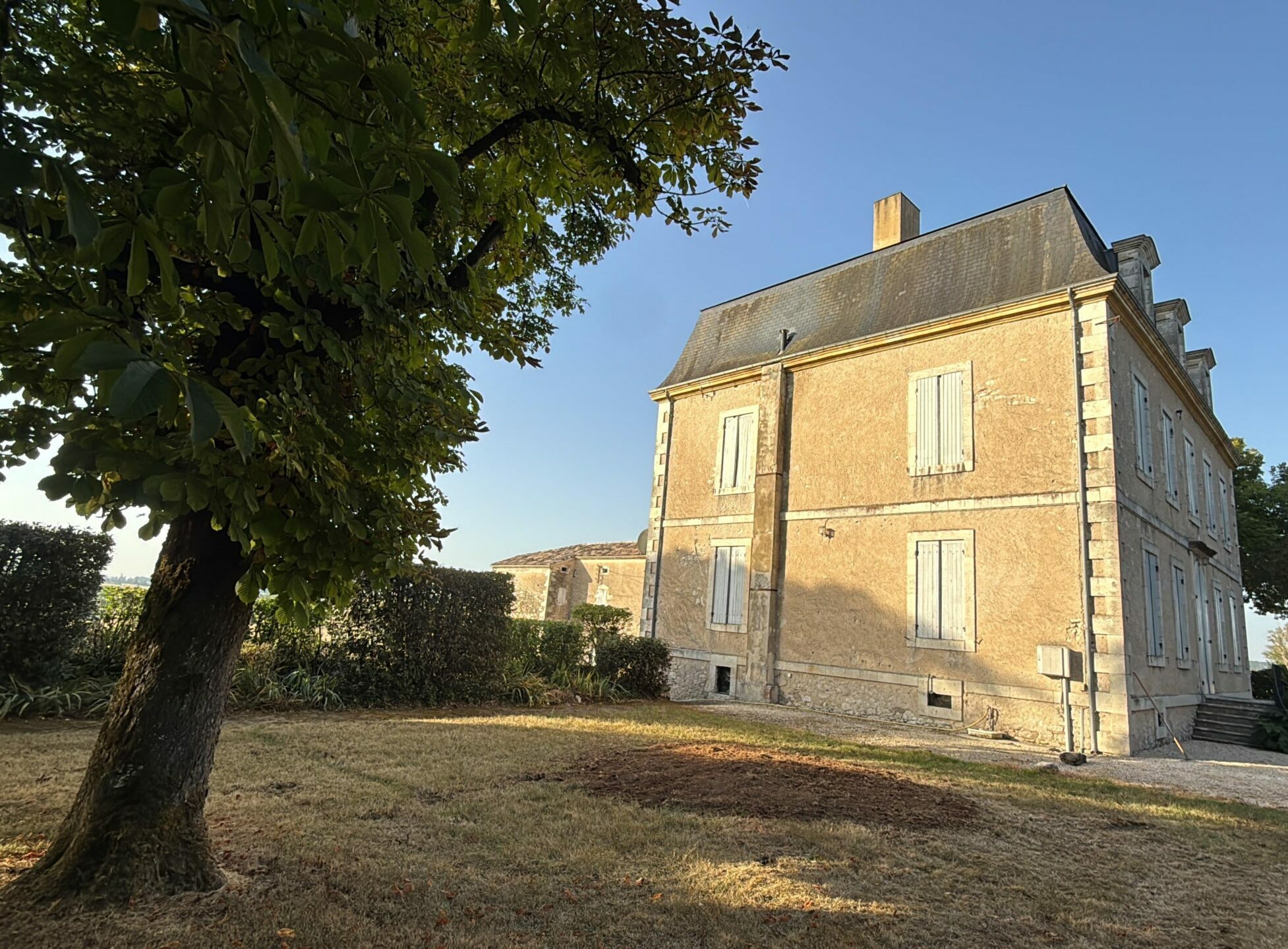 avant après rognage souche jardin Parrel Élagage 47
