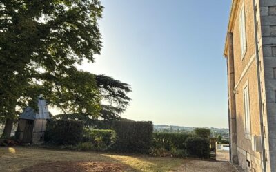 Dessouchage et rognage de souche en Lot-et-Garonne : guide complet pour particuliers et professionnels