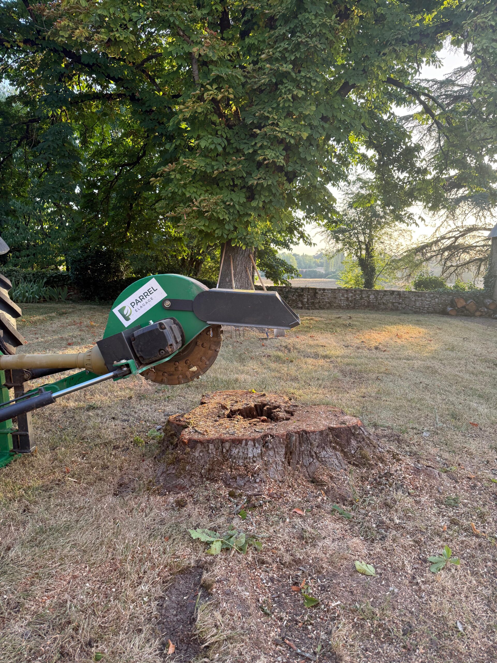 avant après rognage souche jardin Parrel Élagage 47