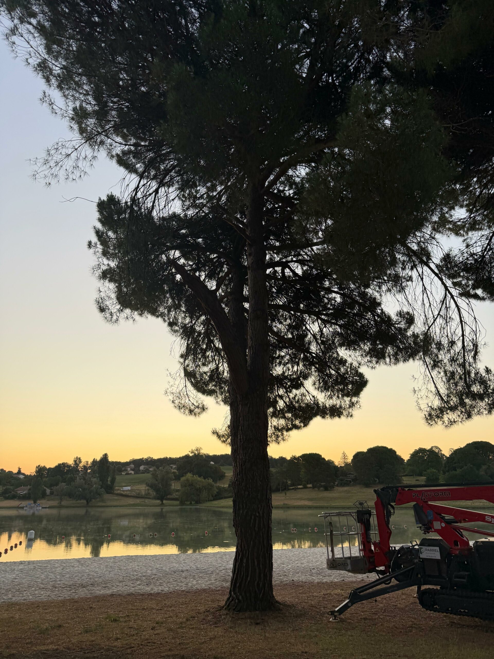 Élagage d'un arbre en été en Lot-et-Garonne : risques