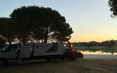 Élaguer en été : pourquoi c’est déconseillé en Lot-et-Garonne ?